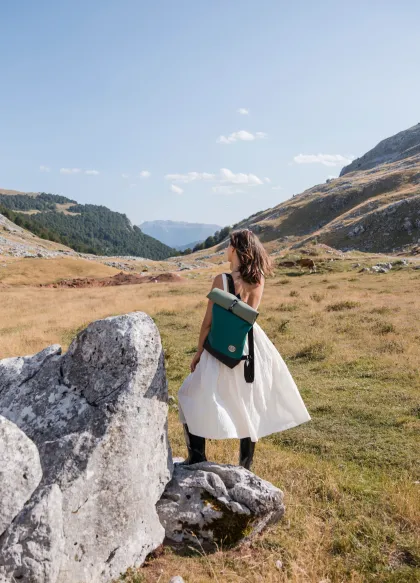 EVERGREEN – Tricolor